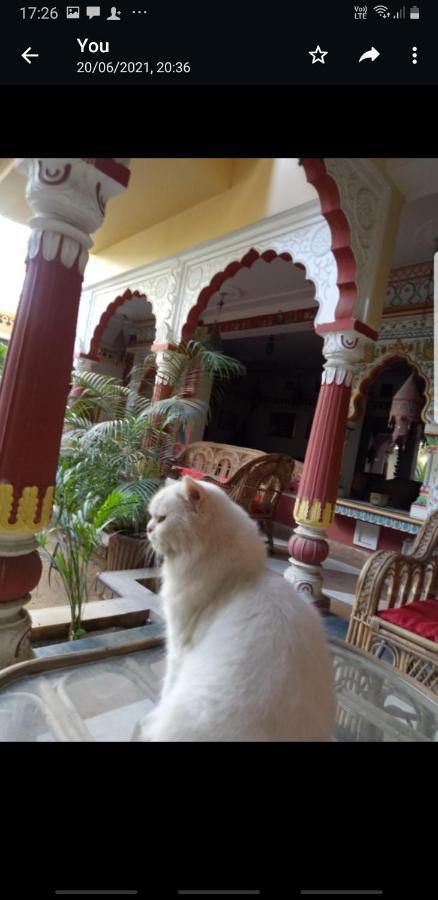 Sureli Haveli Leilighet Jaipur Eksteriør bilde