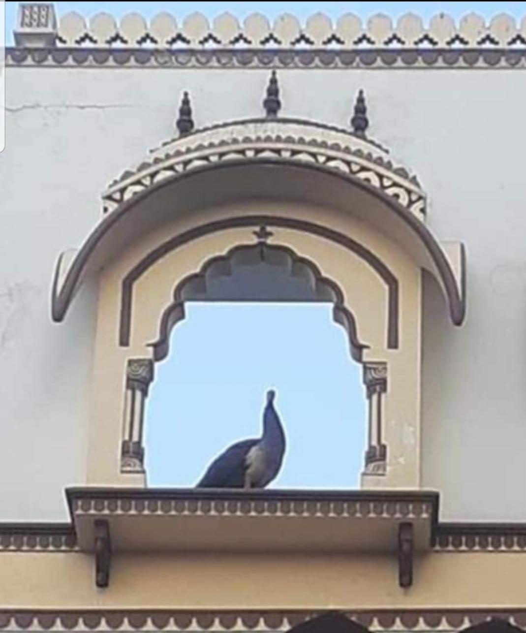Sureli Haveli Leilighet Jaipur Eksteriør bilde